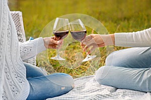 Clinking glases with wine on a picnic