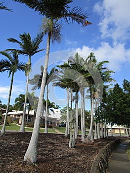 Clinton, Gladstone, beautiful lake amongst the residential homes in the area.