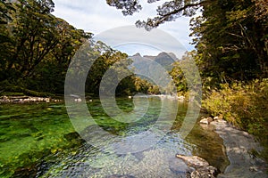 Clinton River New Zealand, Milford Track Great Walk, pristine nature, fresh, clean and unspoiled water in Fiordland National Park