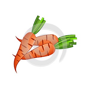 Clip art of carrot with cartoon design