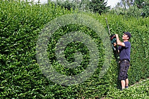 Clip a hedge, gardening