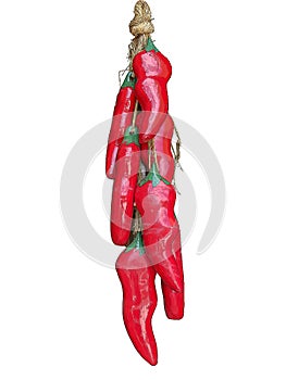 Clipart illustration closeup of a strand of red hot chili peppers