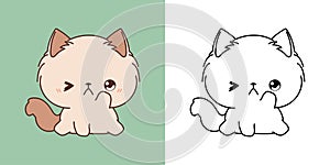 Clipart Isolated Ragamuffin Cat Multicolored and Black and White. Cute Cartoon Baby Cat. Cute Vector Illustration of a
