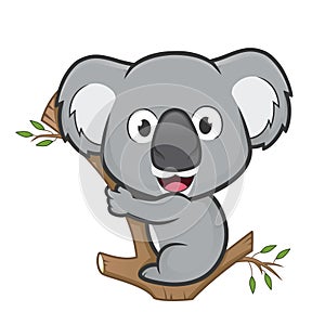 Koala on a tree