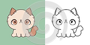 Clipart Ragamuffin Cat Multicolored and Black and White. Cute Clip Art Kitty. Cute Vector Illustration of a Kawaii Baby