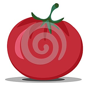 Clipart of the red tomato/Solanum lycopersicum, vector or color illustration
