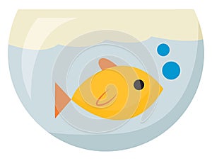 Clipart of a yellow fish in the fish tank, vector or color illustration