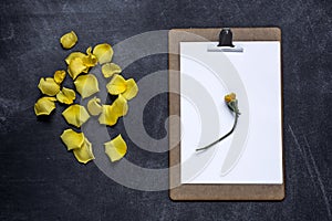 Clipboard with and aPetals of yellow rose on black background. V