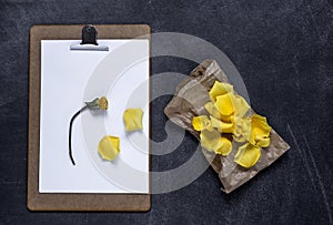 Clipboard with and aPetals of yellow rose on black background. V