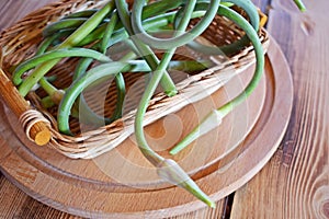 Clipped green garlic arrows.