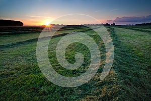 Clipped hay on field at sunrise