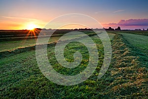 Clipped hay on grassland at sunrise