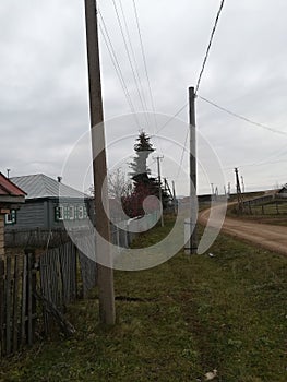 clipped tree interfered with electrical wires