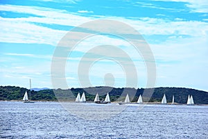 Clippers with Forested Island