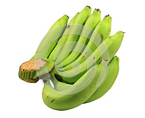 Clipping path cavendish banana,close up cavendish banana