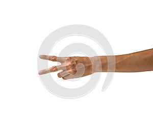 Clipping path hand gestures isolated on white background. Hand m