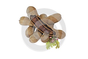 Clipping path isolated closeup tamarind