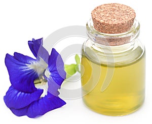 Clitoria ternatea with extract