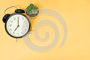 Clock and cactus placed on oranage background with copy space. i