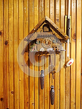 Clock with a cuckoo on a wooden wall
