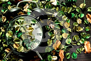 Lock on dried flowers, colorful background,Time and memories change accordingly. photo