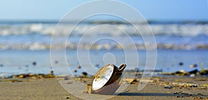 The clock in front of the sea soiled by sand