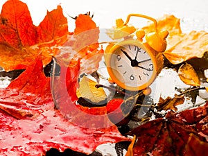 clock with leaves time change, Alarm clock in colorful autumn leaves