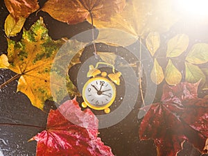 clock with leaves time change, Alarm clock in colorful autumn leaves