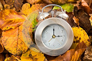 Clock with leaves wintertime