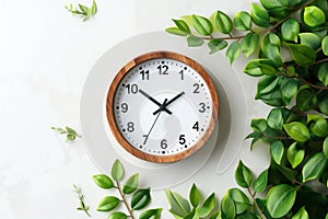 Clock on light background among green leaves. Wall clock, morning time. Minimalistic background, concept of time, time to work,