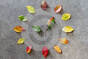 Clock made of colorful leaves, autumn start, summer time change concept