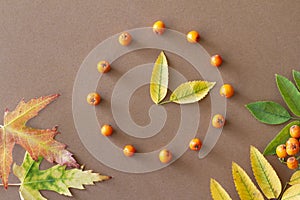 Clock made of rowan berries, autumn start, summer time change concept