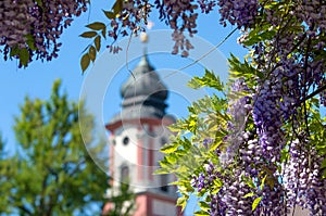 Clock tower from the Castle on Mainau Island