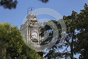 Clock tower in front of fountain garden palace. The top of the trees was withdrawn. Sky in the background