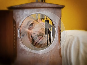 Clockmaker carefully observes mantel clock to be repaired  with loupe repair watch photo
