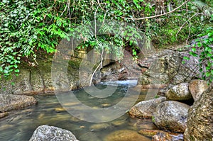 Clod Water In The Jungle