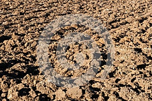 Clods on a plowed field