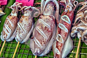 Cloeup Dried squid in the sea food