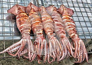 Cloeup Dried squid in the sea food photo