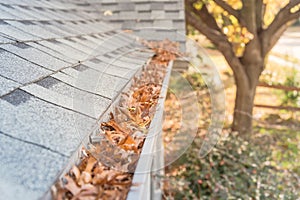 Clogged gutter at front yard near roof shingles of residential house full of dried leaves