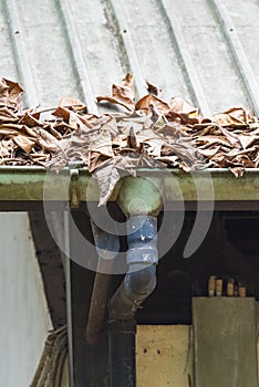 Clogged Gutter