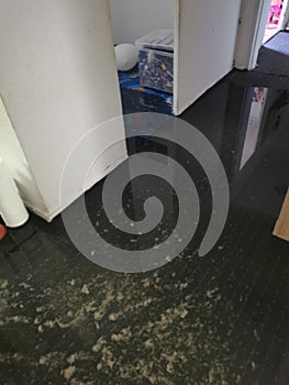 Clogged sewage drain pipe, causing a damage