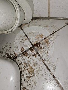 Clogged sewage drain pipe, causing a damage