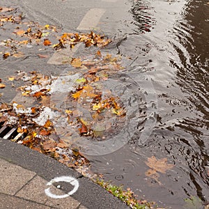 Clogged sewer blocks rainwater runoff photo