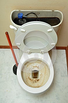 Clogged Toilet
