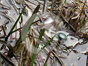 Clogging of a reservoir, a lake with plastic.