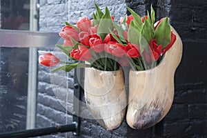 Clogs and Red Tulips, Amsterdam, Holland