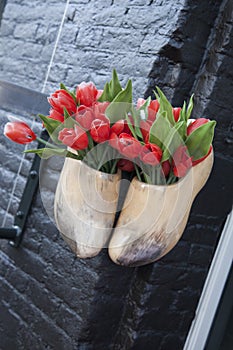 Clogs and Red Tulips, Amsterdam