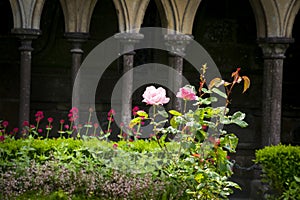 Cloister of abbey Mont Saint Michel, Normandy, France