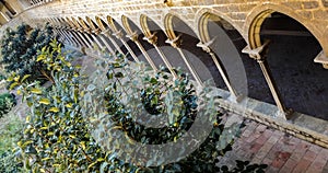 Cloister of the Monastery Santa Maria de Pedralbes Monestir de Pedralbes, Barcelona.